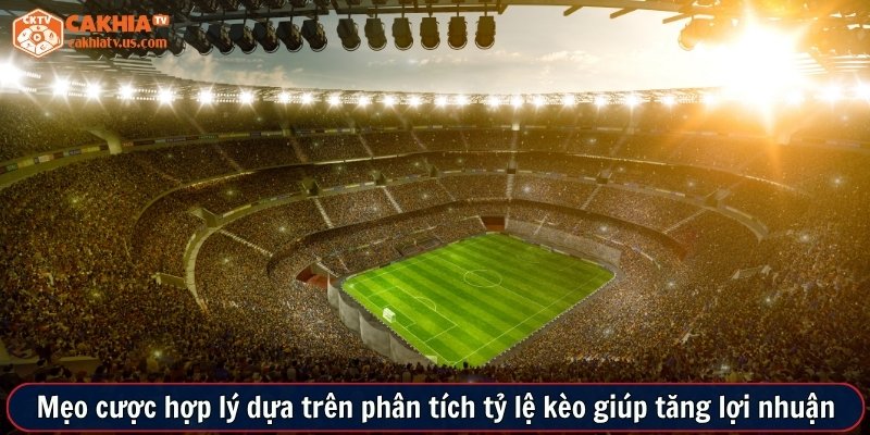 Mẹo cược hợp lý dựa trên phân tích tỷ lệ kèo giúp tăng lợi nhuận